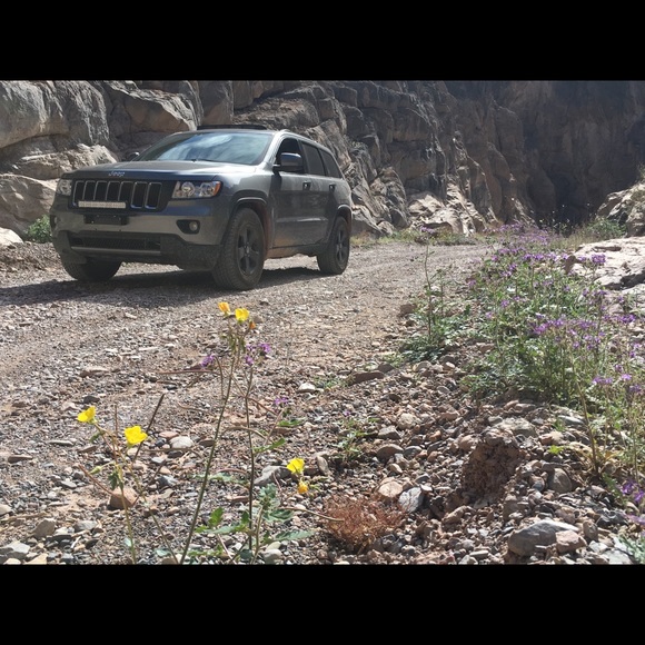 Meet your Posher, Mary - Picture 4 of 8